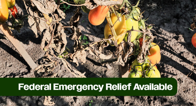 Miller Urges Eligible Texas Producers to Apply for Federal Emergency Relief