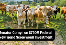 Cornyn Statement on New Federal New World Screwworm Investment