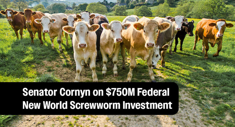 Cornyn Statement on New Federal New World Screwworm Investment