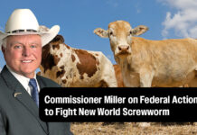 Commissioner Sid Miller Applauds Federal Action to Fight New World Screwworm