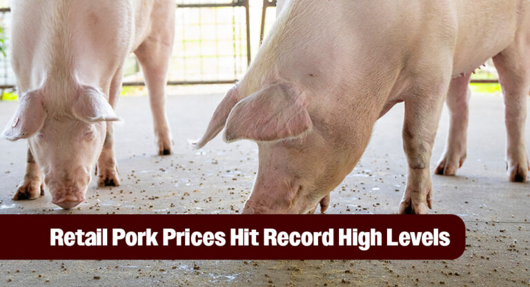 Pork Prices Reach Record Highs with Holiday Demand Ahead