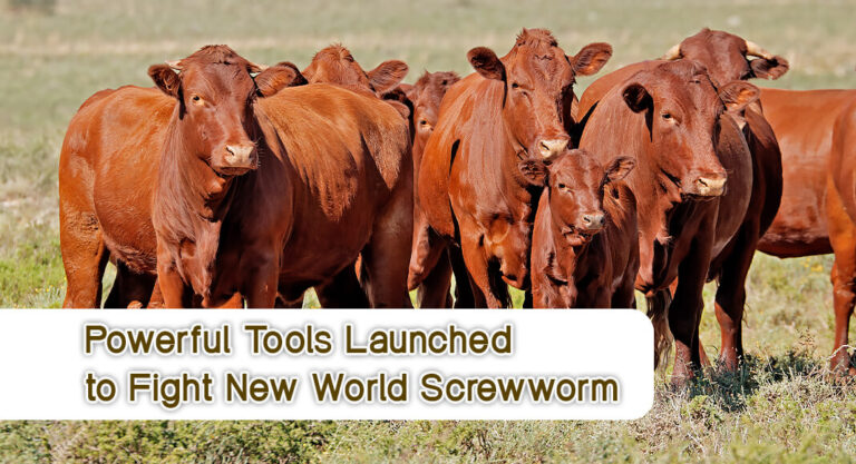 Commissioner Miller Launches Powerful Tool Against New World Screwworm