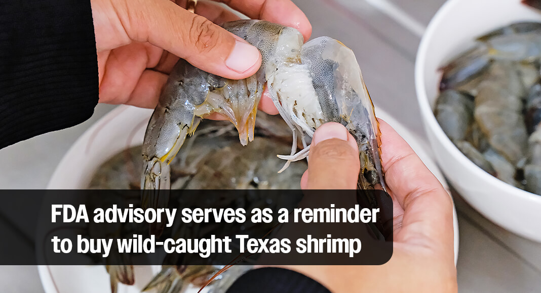 Texas Agriculture Commissioner Sid Miller highlighted a recent U.S. Food and Drug Administration (FDA) warning advising Americans not to eat, sell, or serve certain imported frozen shrimp from an Indonesian firm. Image for illustration purposes