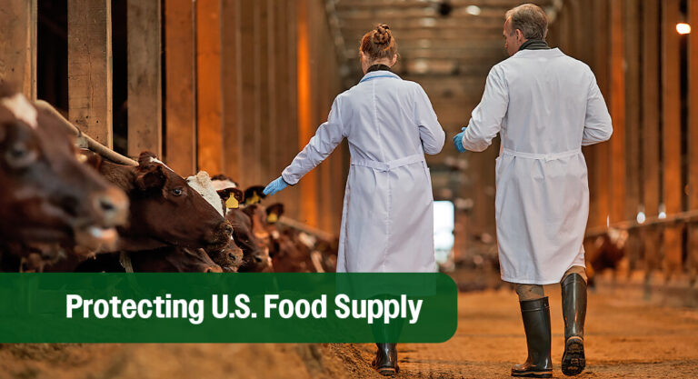HHS Allows FDA Emergency Use of Animal Drugs to Combat New World Screwworm