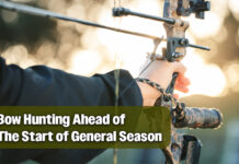 Bow Hunters Harvest Quality Bucks Before the General White Tail Season