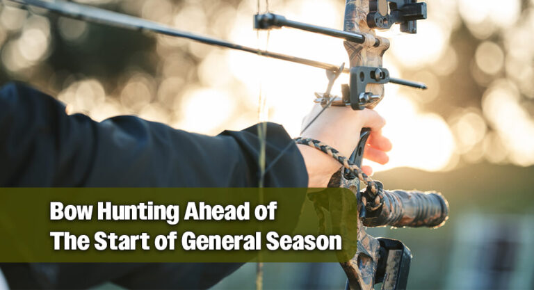 Bow Hunters Harvest Quality Bucks Before the General White Tail Season