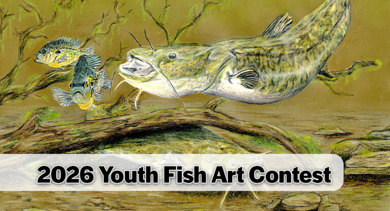 2026 Youth Fish Art Contest Accepting Entries