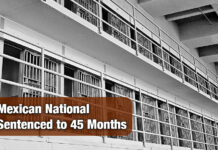 Multiple Time Convicted Felon and Habitual Re-Enterer Sentenced to 45 Months