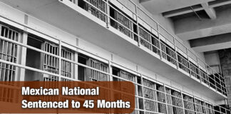 Multiple Time Convicted Felon and Habitual Re-Enterer Sentenced to 45 Months