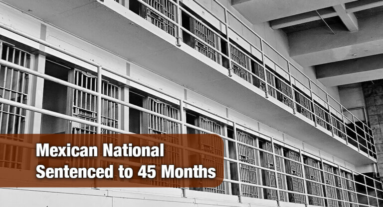 Multiple Time Convicted Felon and Habitual Re-Enterer Sentenced to 45 Months