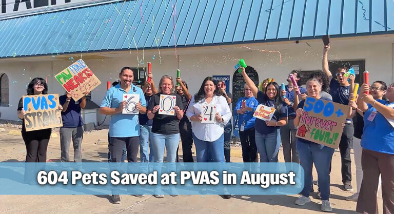 PVAS Surpasses August Goal with 604 Pets Saved