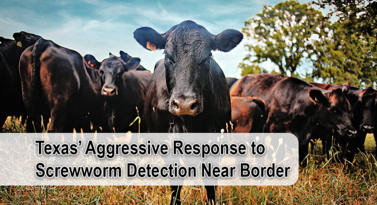 Miller Reaffirms Texas’ Aggressive Response to Screwworm Detection Near Border