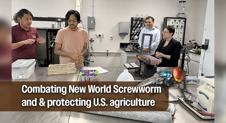 NNSA and Texas A&M AgriLife partner to combat the New World Screwworm
