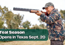 Teal Season Opens in Texas Sept. 20