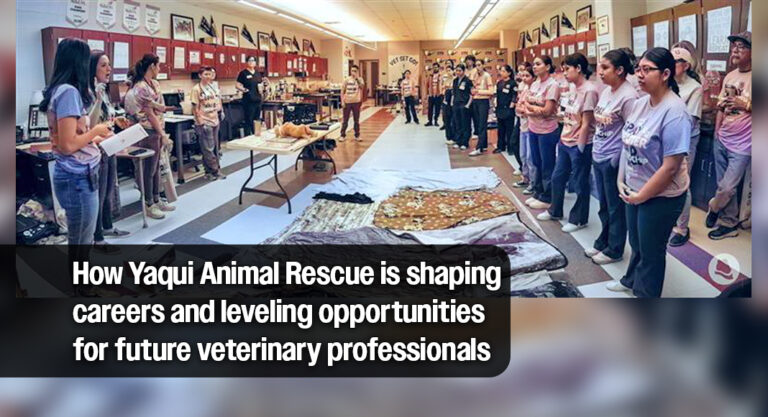 Yaqui Animal Rescue Teams Up with Donna North High School to Train Future Vet Professionals
