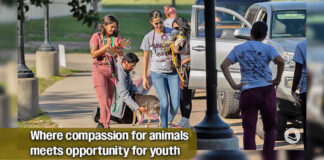 Sponsorship and Community Support Opportunities with Yaqui Animal Rescue