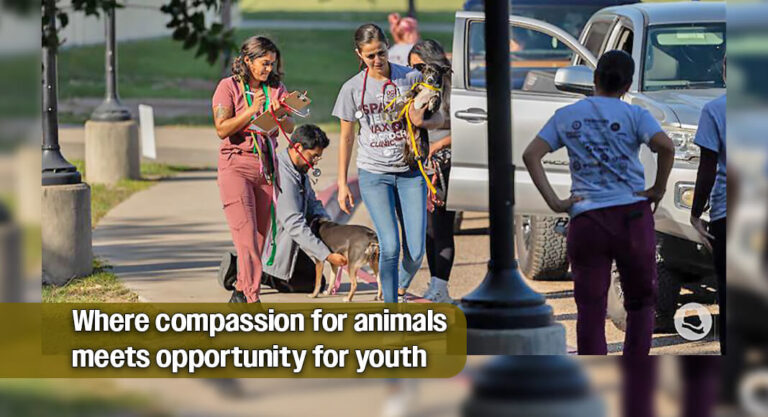 Sponsorship and Community Support Opportunities with Yaqui Animal Rescue