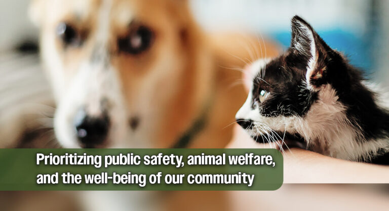 Order Prohibiting Roadside Sales of Non-Livestock Animals in Unincorporated Areas Approved