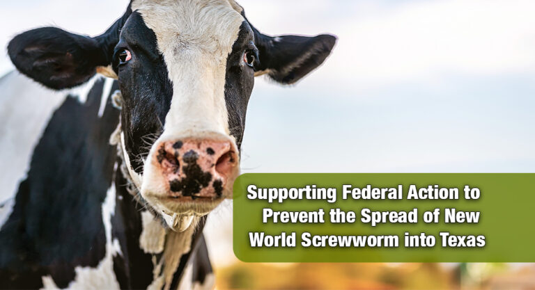 Rep. Canales Supports Federal Action to Prevent the Spread of New World Screwworm into Texas