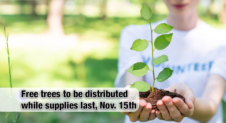 City of Edinburg to Host Arbor Day Celebration, Nov. 15th