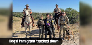 DPS Border Mounted Patrol, K-9 Track Down Criminal Illegal Immigrant in Kinney Co.
