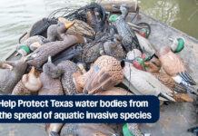 Waterfowl Hunters: Help Stop the Spread of Invasive Species