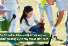 Tiny Forest Takes Root at Town Lake, Oct. 25th