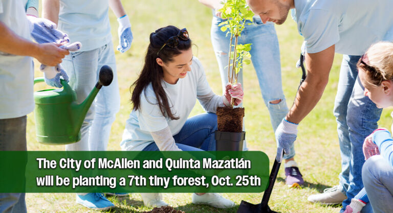 Tiny Forest Takes Root at Town Lake, Oct. 25th
