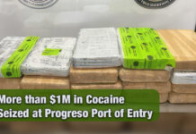 CBP Officers at the Progreso Port of Entry Make Narcotics Find of More than $1M