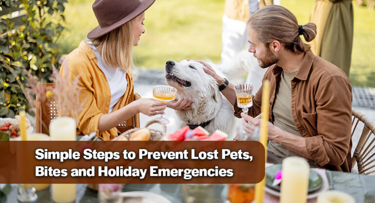 Thanksgiving Pet Safety Tips