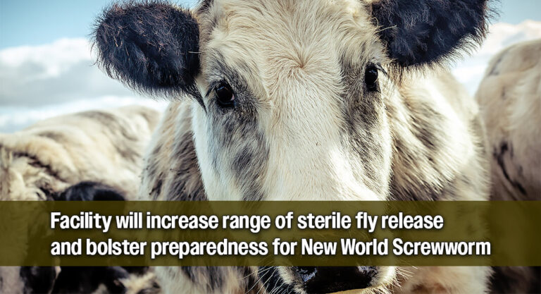 USDA Announces Opening of Sterile Fly Dispersal Facility in Tampico, Mexico