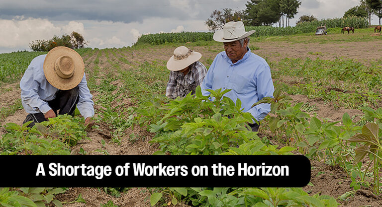 Looking for Labor