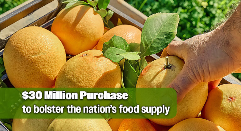 Miller Hails USDA’s $30 Million Fresh Fruit Purchase, Calls for Texas Fruit to be Front and Center