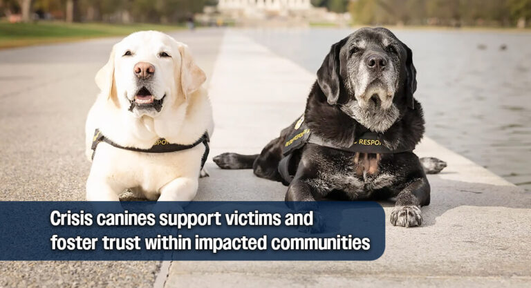 FBI Crisis Canine ‘Gio’ Retiring After 10 Years of Service