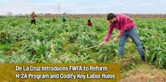 Rep. De La Cruz Leads Fair Wages for Farm Workers Act