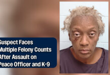 Suspect in Custody for Aggravated Assault, Interference with Service Animal