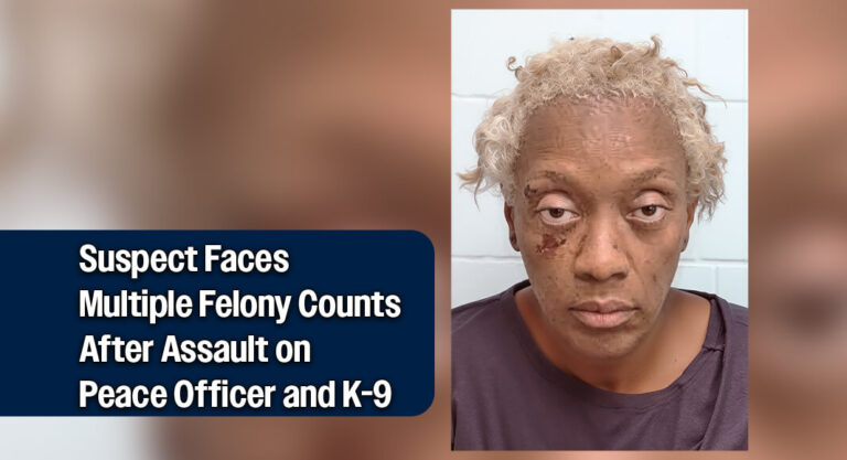 Suspect in Custody for Aggravated Assault, Interference with Service Animal