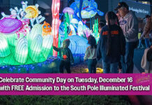 Holiday Magic Continues at the South Pole Illuminated Festival