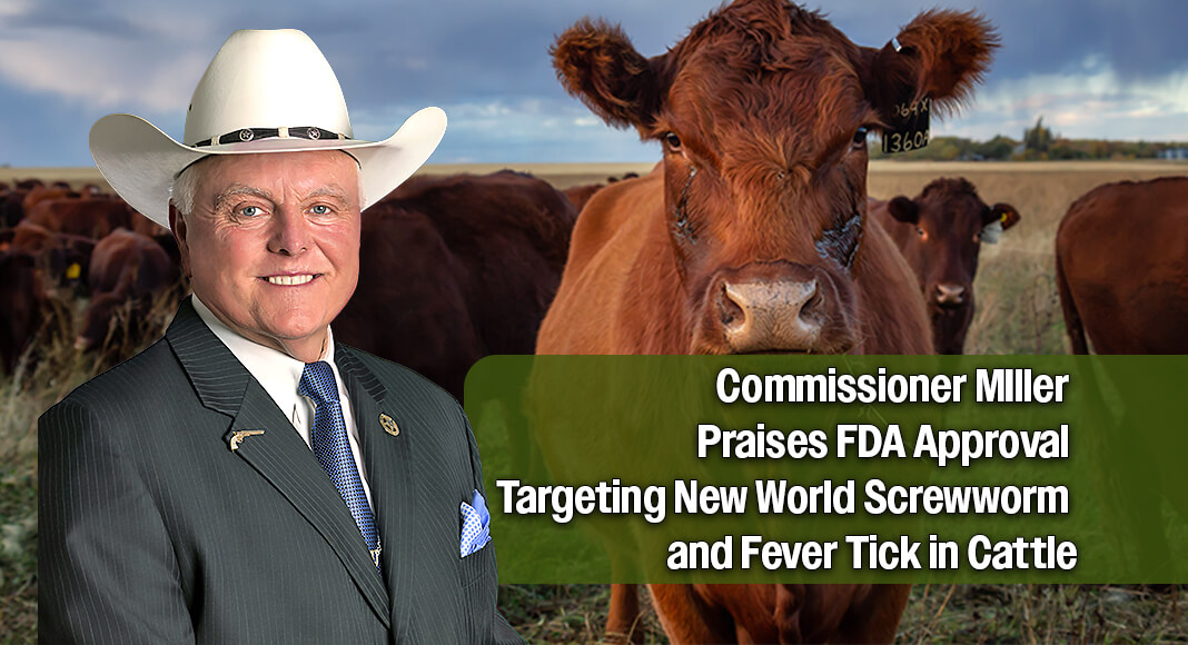 Texas Ag Commissioner Hails Breakthrough Livestock Treatment