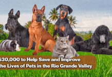 National Nonprofit Petco Love Invests $30k in Palm Valley Animal Society