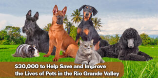 National Nonprofit Petco Love Invests $30k in Palm Valley Animal Society