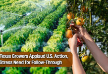 Texas Produce Industry Urges Accountability After Water Delivery Progress
