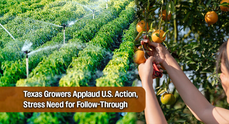 Texas Produce Industry Urges Accountability After Water Delivery Progress