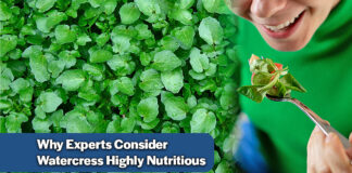 Watercress A Nutrient-Dense Leafy Green