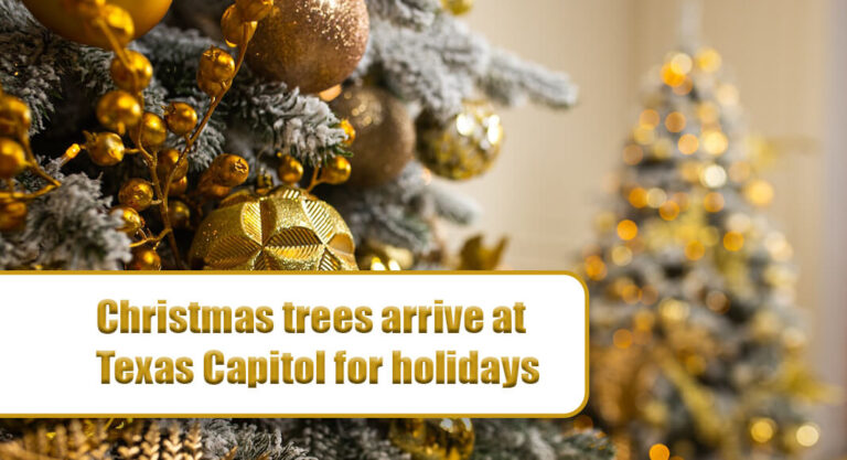 WATCH: Christmas trees arrive at Texas Capitol for holidays