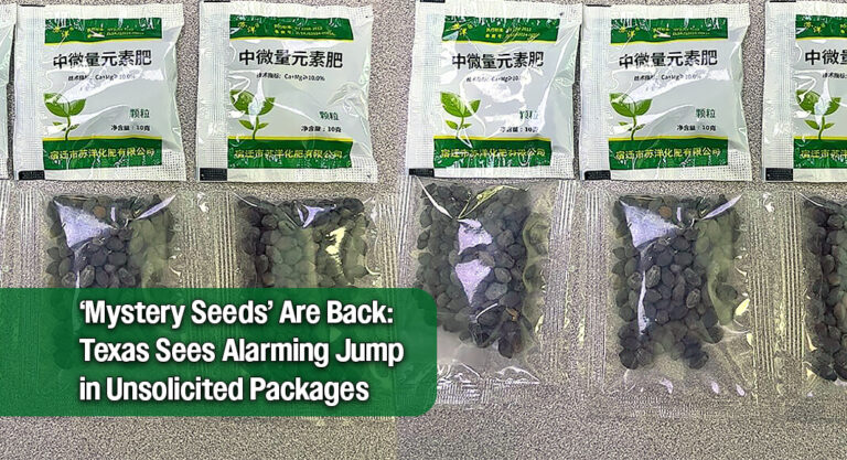 TDA Warns Texans After Another Spike in Unidentified Seed Shipments from China