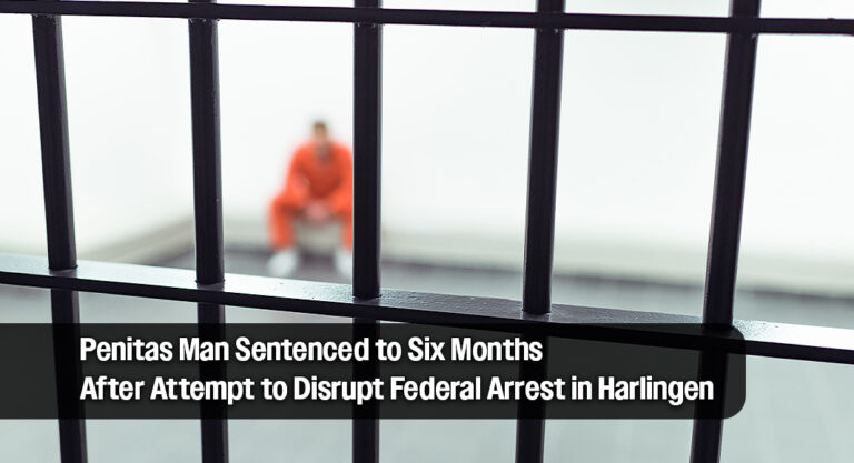 19‑Year‑Old Penitas Man Sentenced for Impeding Federal Agents