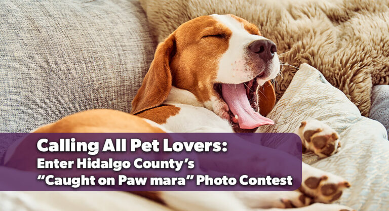 Show Off Your Pet’s Personality in Hidalgo County’s “Caught on Paw‑mara” Contest
