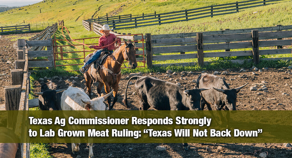 Miller Condemns Court Decision Challenging Texas Lab‑Grown Meat Ban