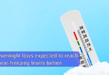 Cold Front Brings Freezing Temperatures to the Rio Grande Valley Overnight